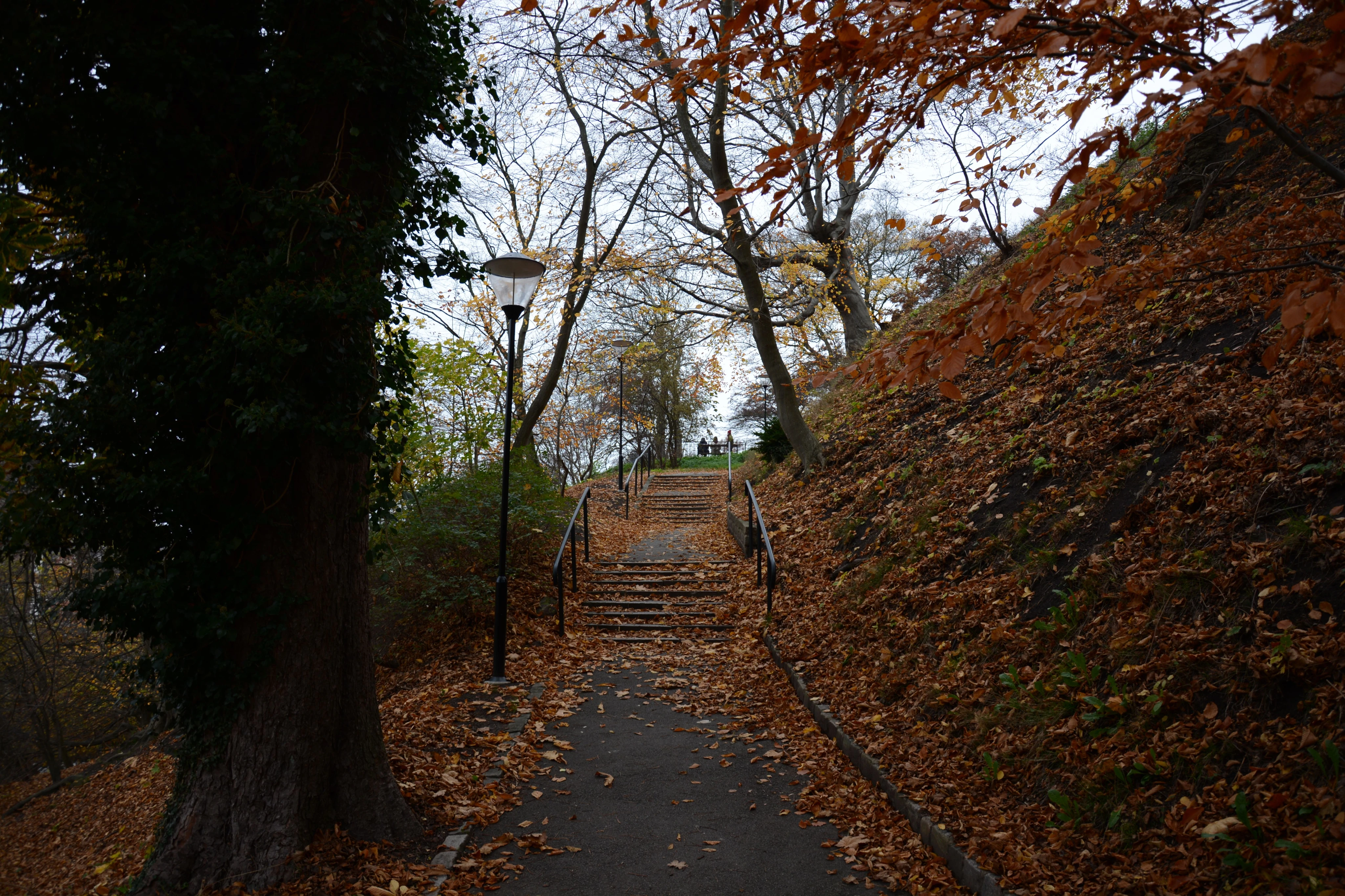 Autumn Park Pathway with Stone Steps